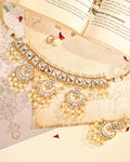 Premium Designer Choker Necklace Set with Earrings