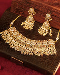 Premium Statement Necklace Set with Earrings